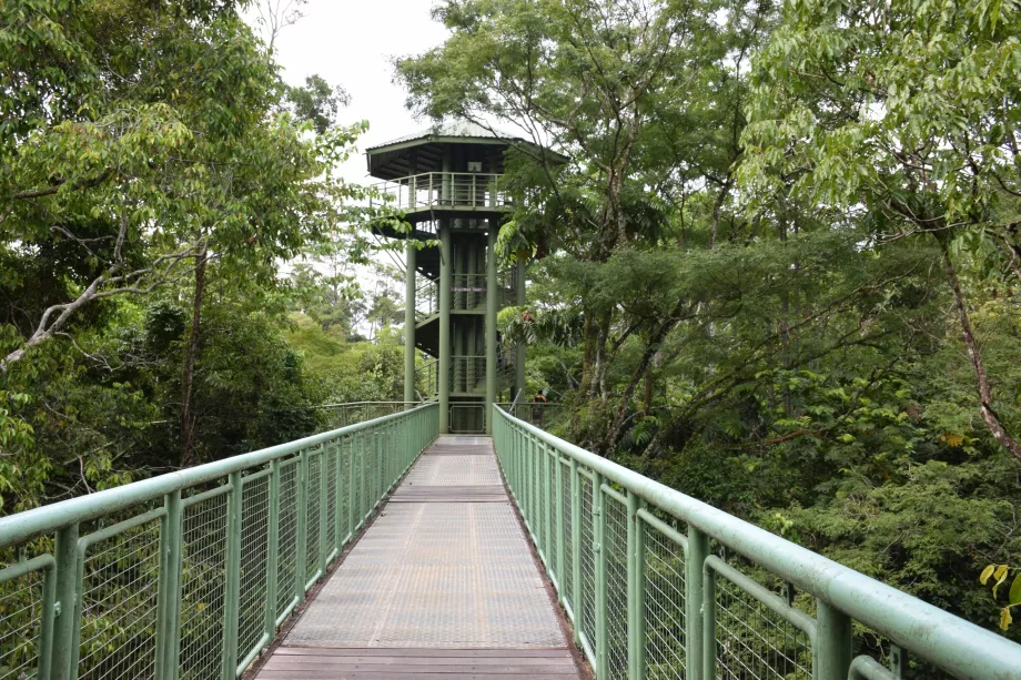 Centre de découverte de la forêt tropicale, Sepilok