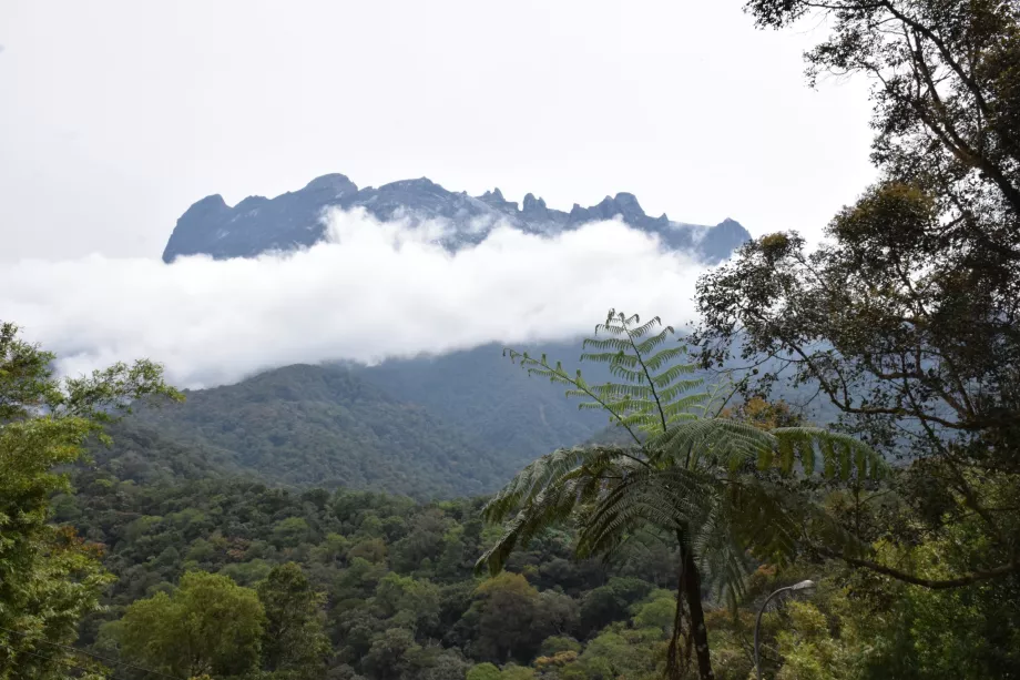 Mont Kinabalu, Sabah, Bornéo