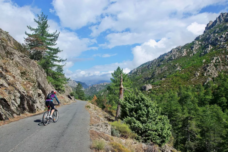 Corse à vélo