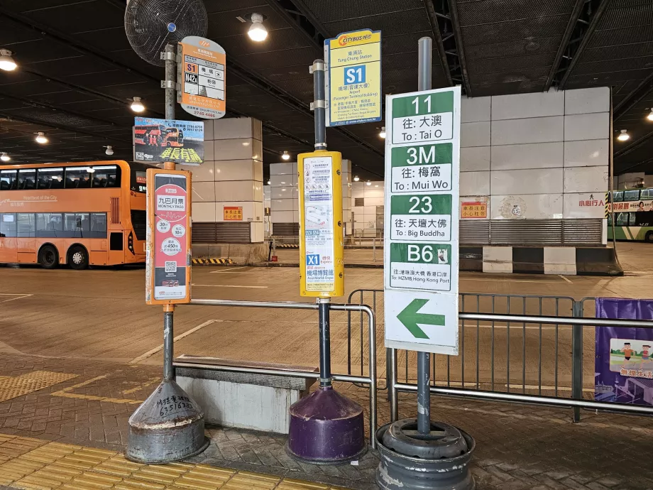 Arrêt de bus S1, Tung Chung