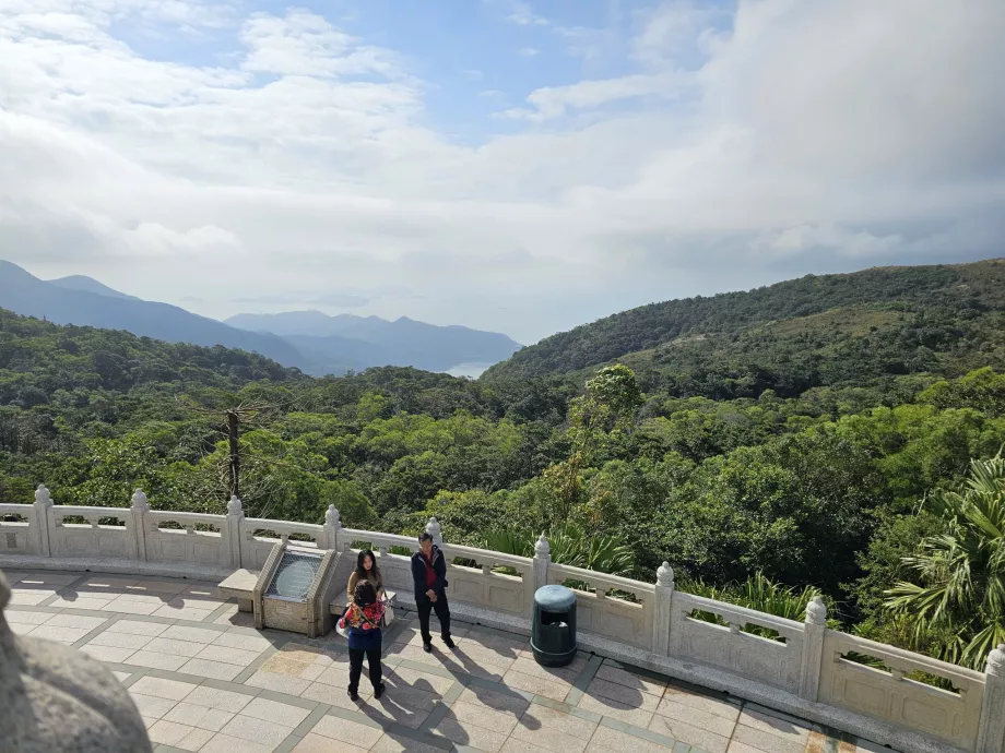 Vue sur les forêts de l'île de Lantau