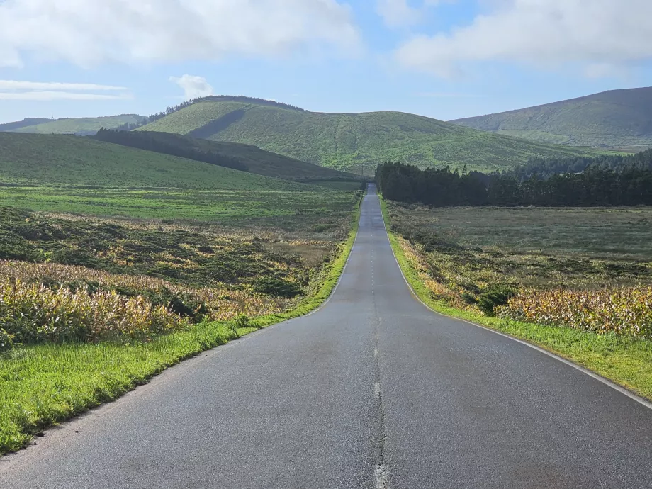 Route au milieu de l'île de Flores