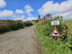 Panneaux le long des routes de l'île de Flores
