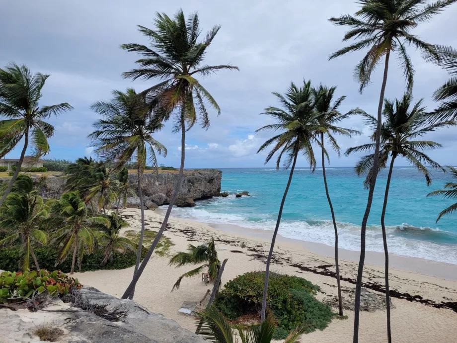 Plage de Bottom Bay