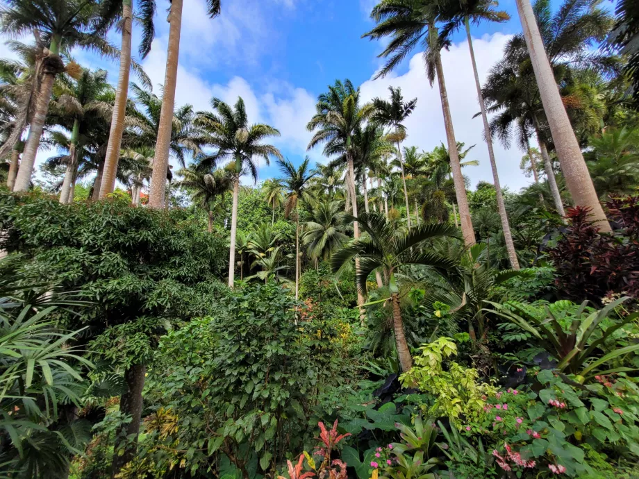 Jardins de Hunte