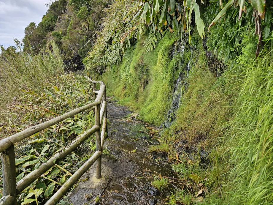 Chemin de randonnée vers Faja de Lopo Vaz