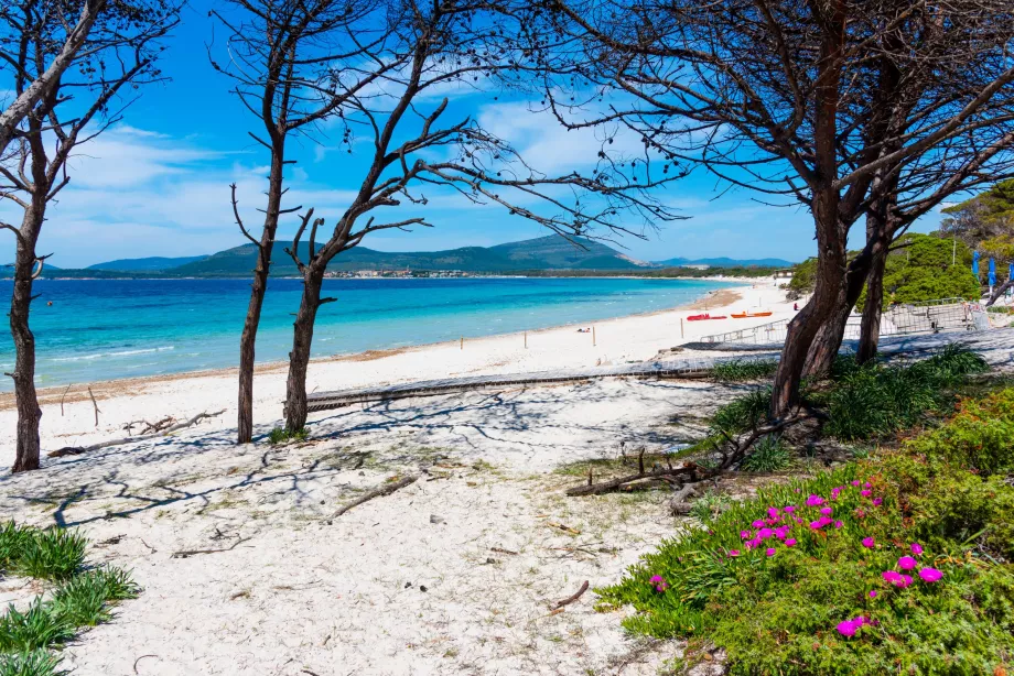 Plages à Alghero