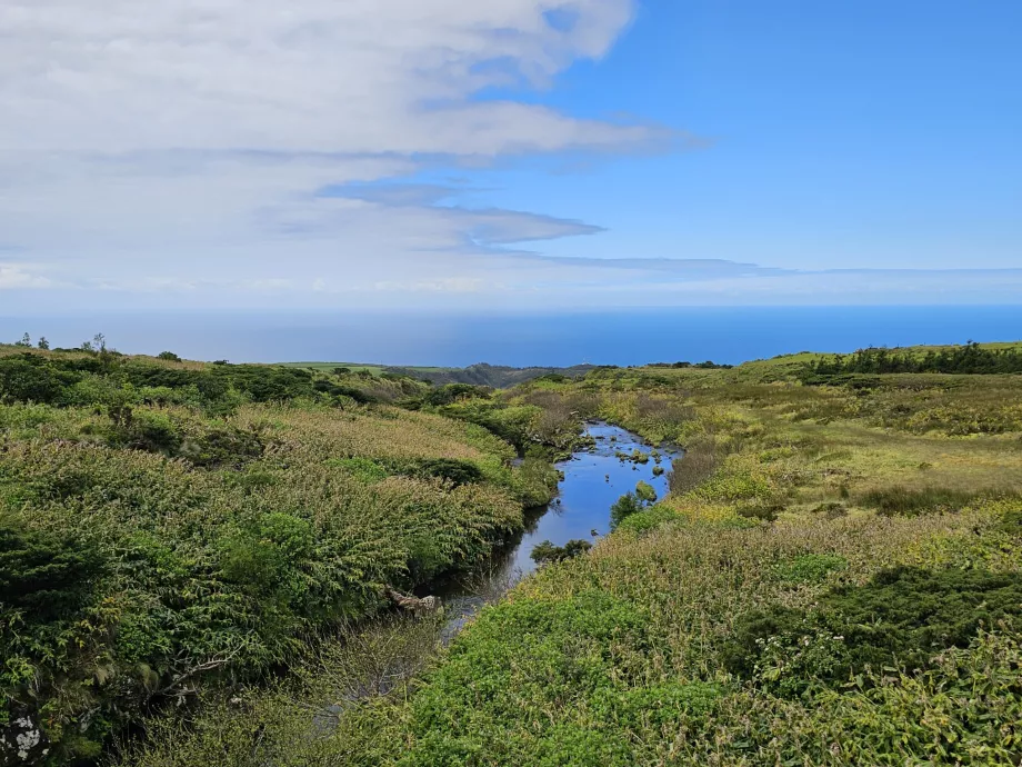 Plateau de Flores