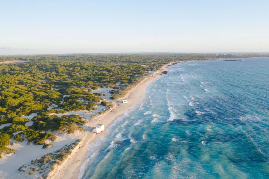 Plage d'Es Trenc