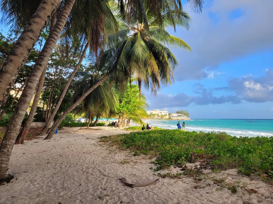 Plage de Rockley