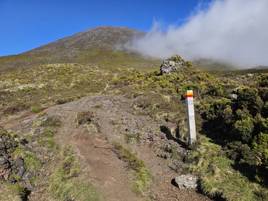 Panneaux touristiques, Pico