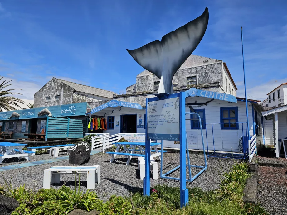 L'agence de voyage se trouve devant le port