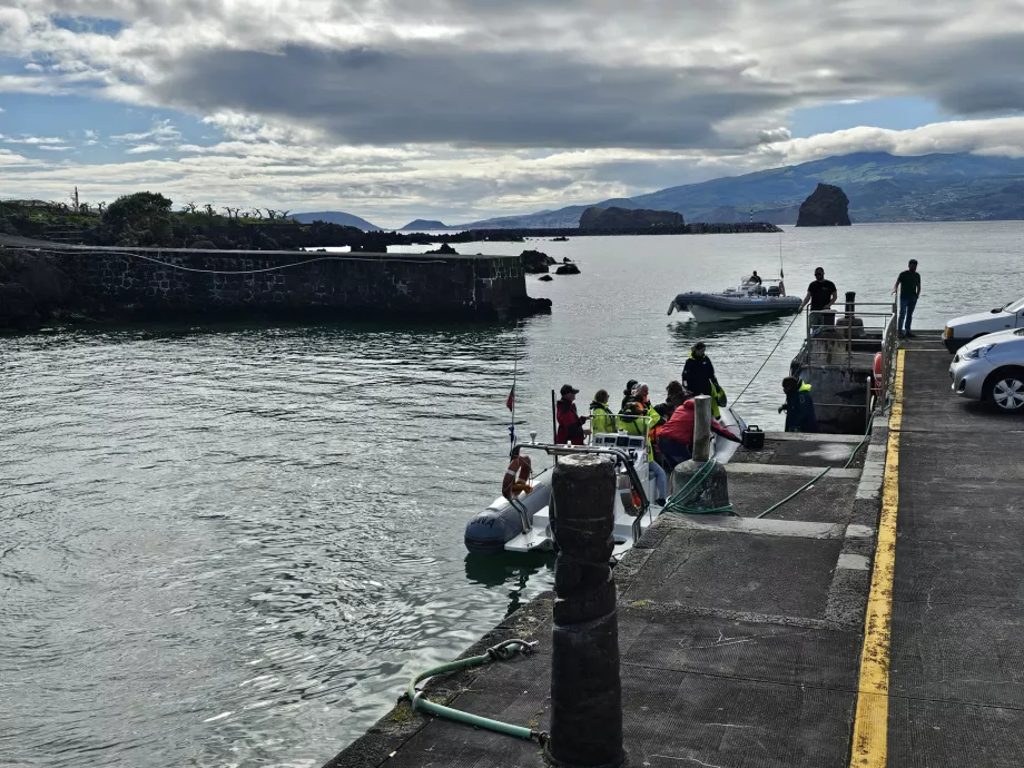 Excursions d'observation des baleines