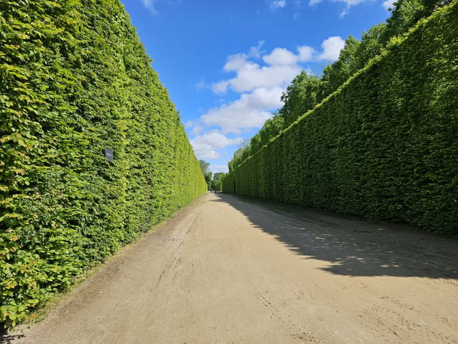 Jardins de Versailles