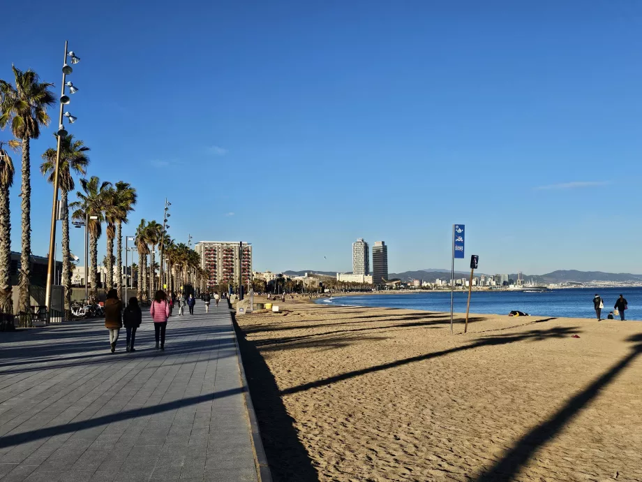 Plage de la Barceloneta