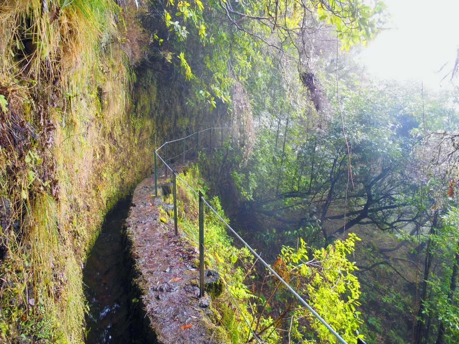 Levada Caldeirao Verde