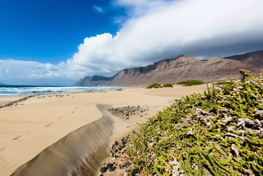 Plage de Famara