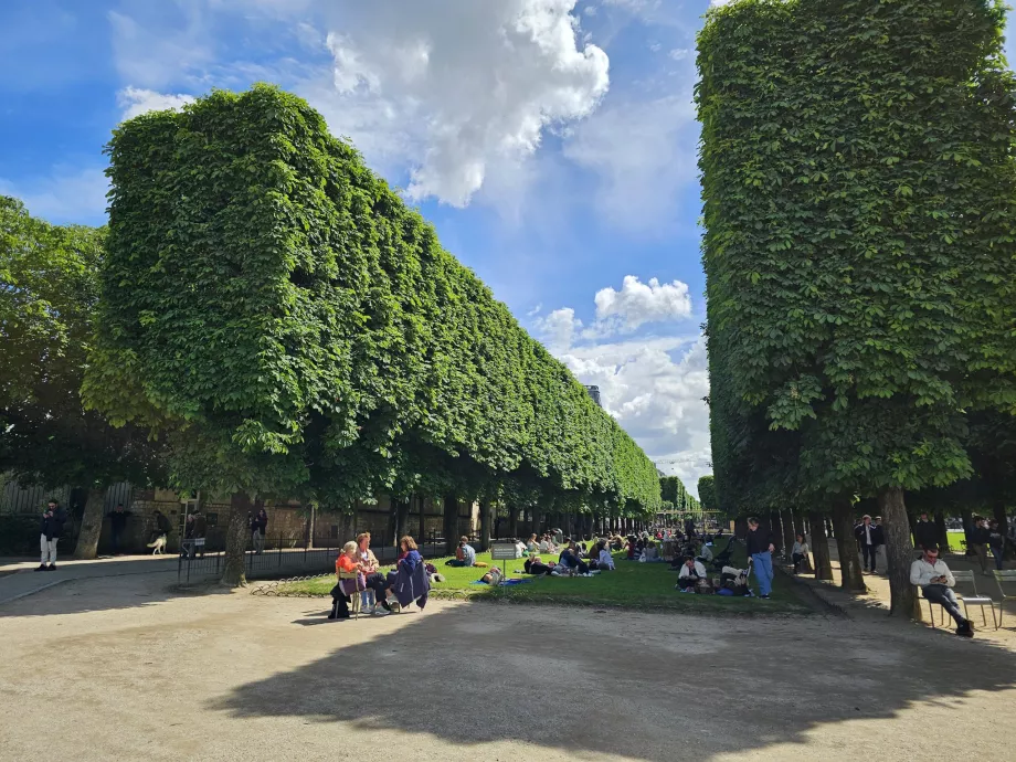 Jardins du Luxembourg