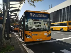 Bus publics de Funchal (urbain)