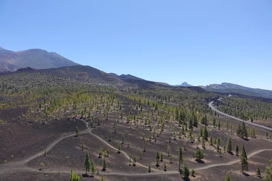 Paysage du PN du Teide