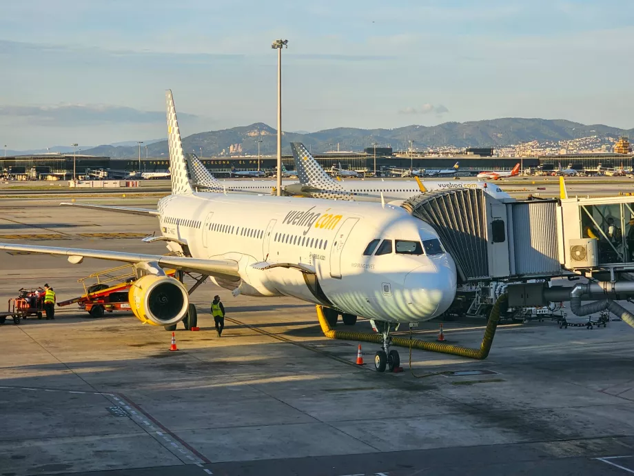 Vueling, Airbus A321