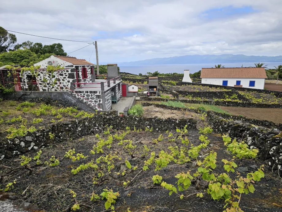 Vignobles Lava, Ribeirinha