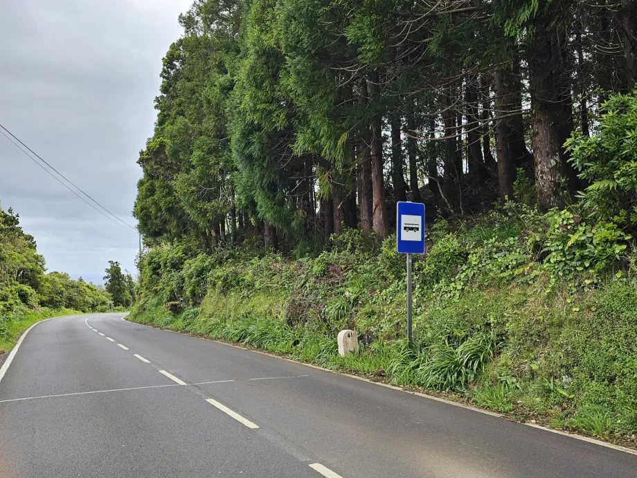 Arrêt de bus, Pico Island