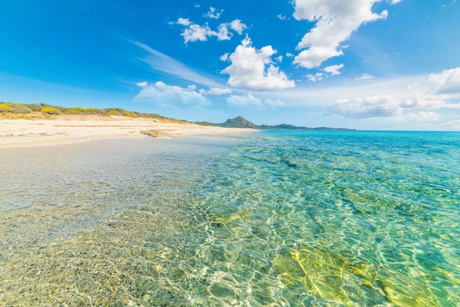 Piscine plage