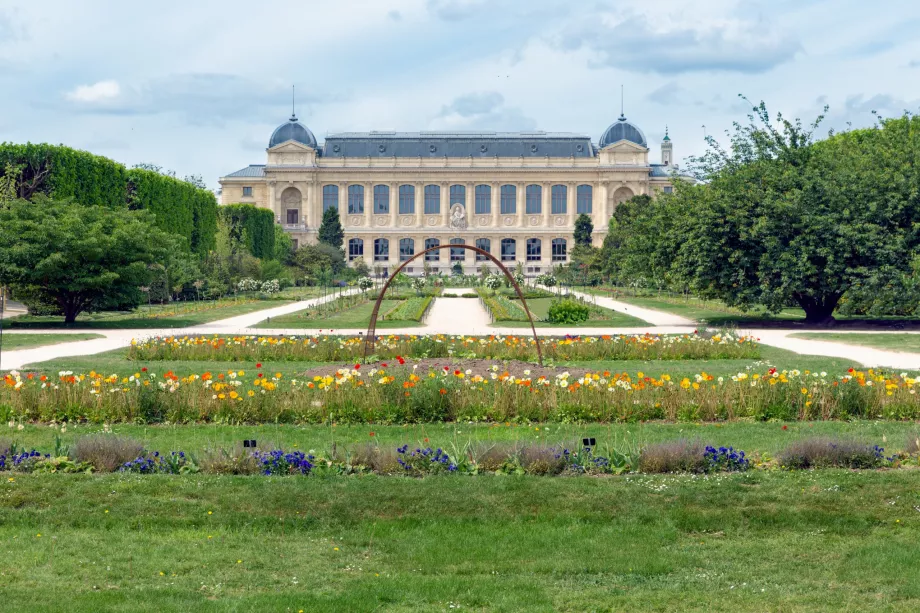 Musée d'histoire naturelle au Jardin des Plantes