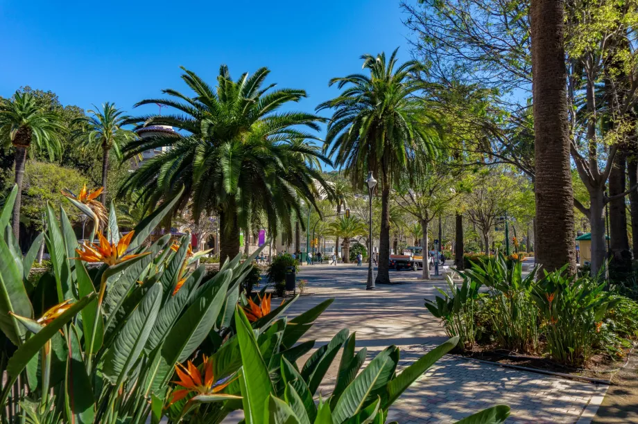 Parque Malaga