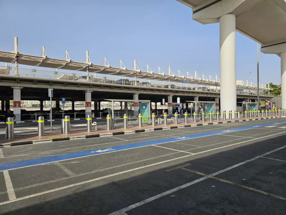 Arrêts de bus des transports publics, Terminal 1