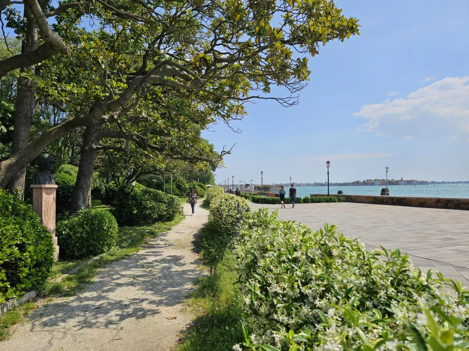 Les jardins de la Biennale