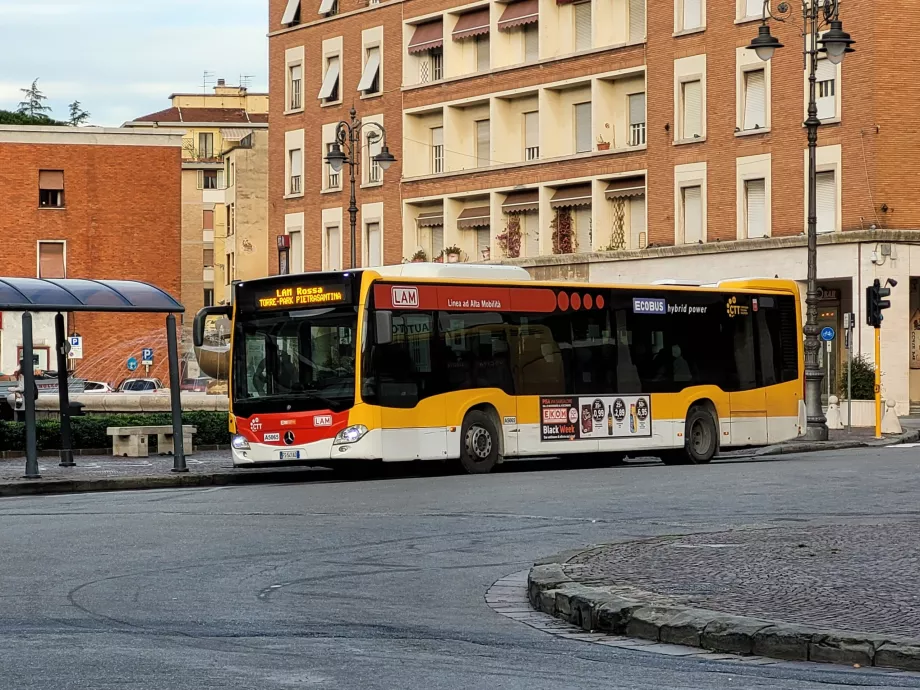 Lignes de bus LAM Rossa