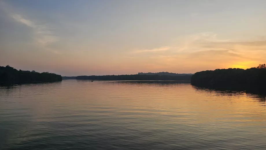 Croisière sur le fleuve Brunei