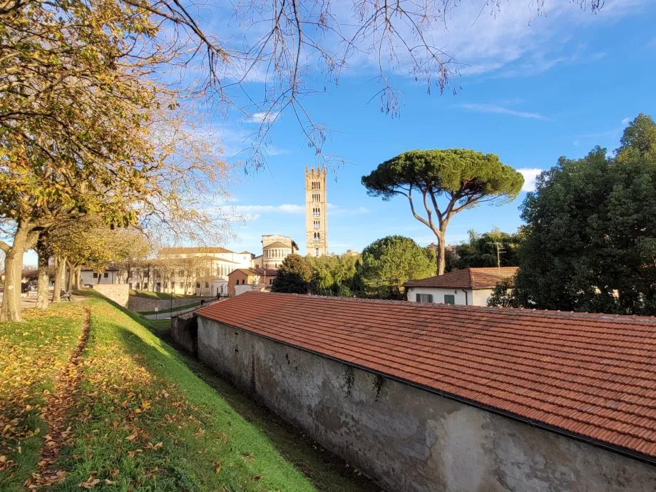 Vue de l'église de San Frediano depuis les remparts