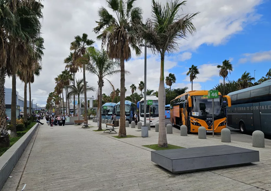 Arrêts de bus