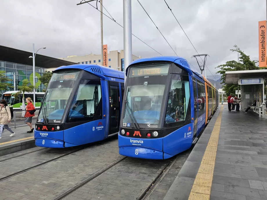 Tram Santa Cruz