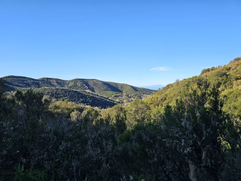 Paysage autour de Laguna Grande