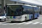 Bus EMT Palma