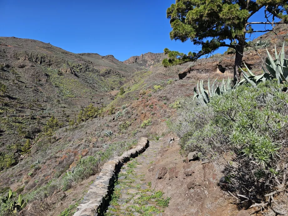 La route vers Drago de Alagán