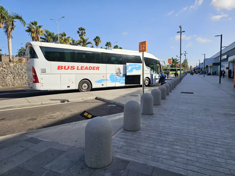 Bus touristiques