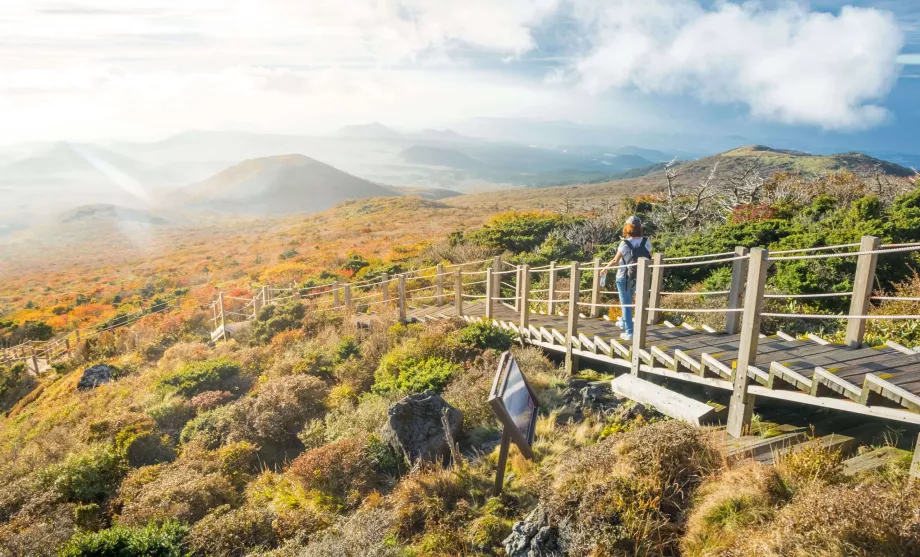 Randonnée à Jeju