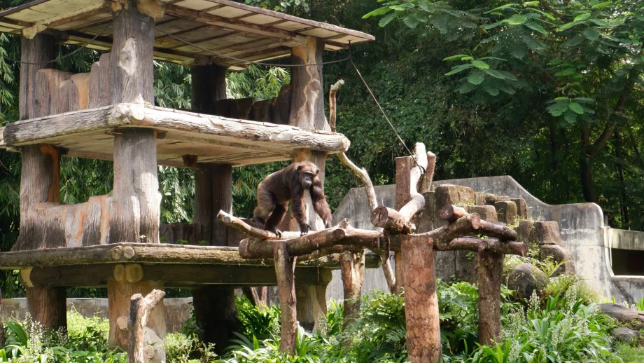 Zoo de Gembira Loka