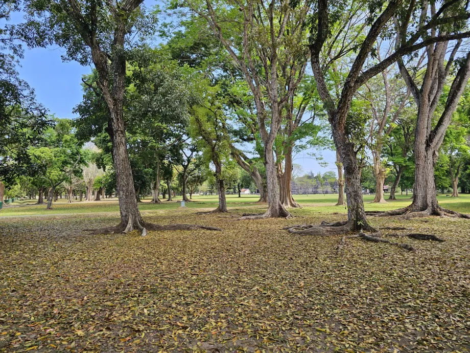 Parc de Prambanan