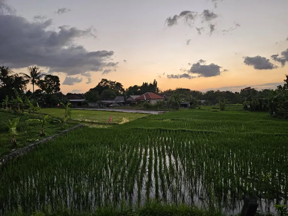 La route vers Ratu Boko