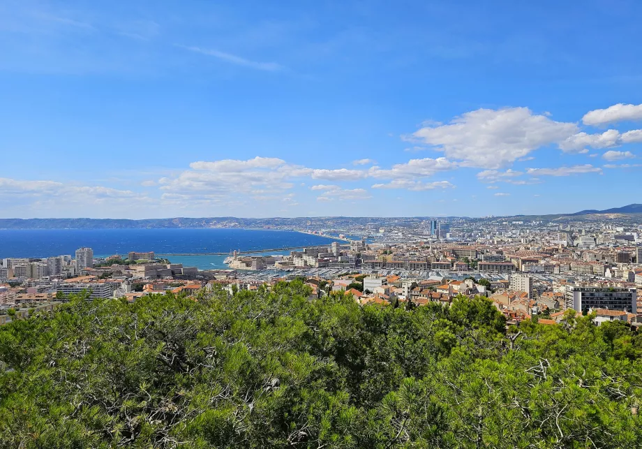 Vue de la cathédrale Notre-Dame