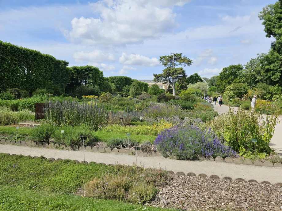 Jardin des Plantes