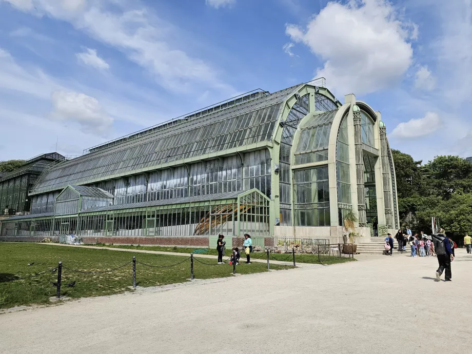 Serre du Jardin des Plantes