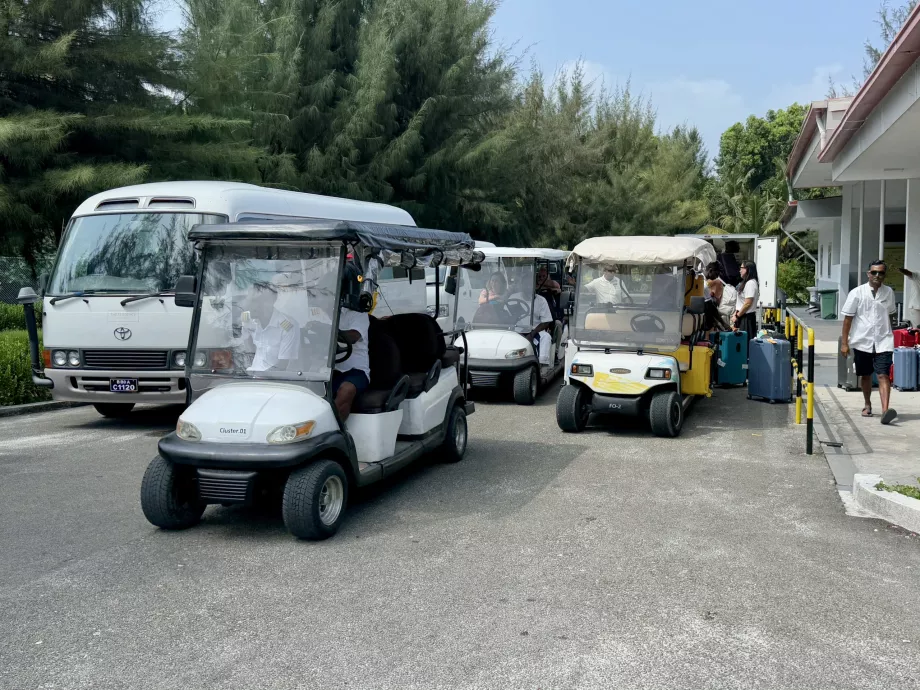 Buggies pour le trajet jusqu'au port