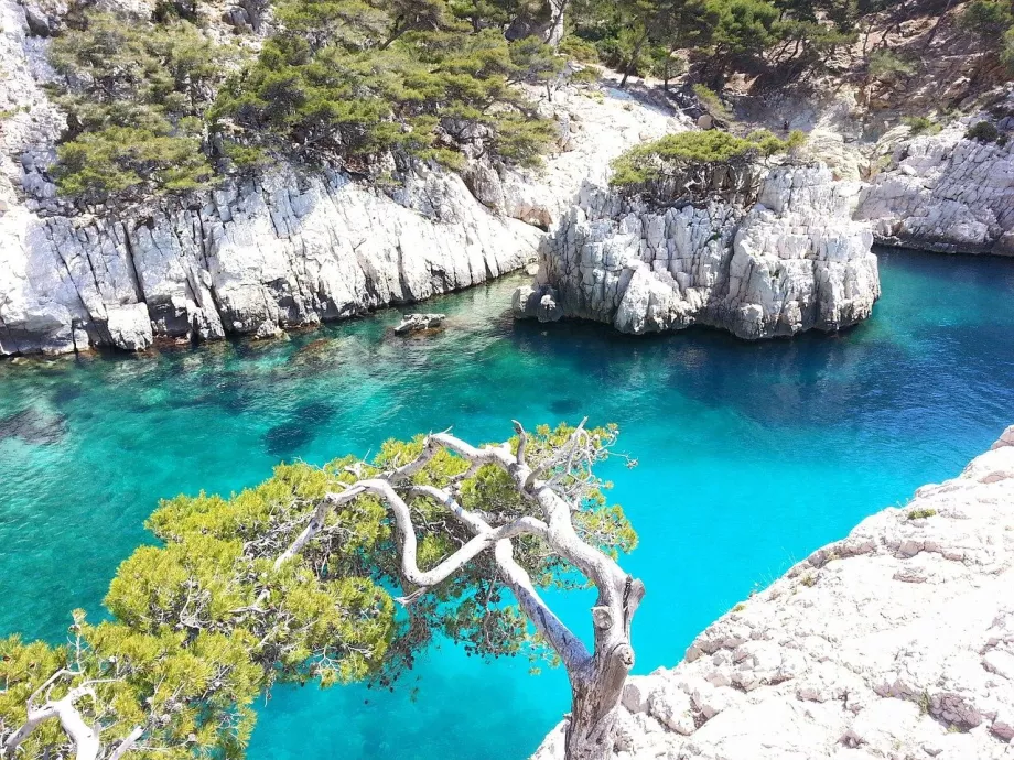 La baie des Calanques